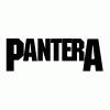 DIMEBAG DARRELL / PANTERA