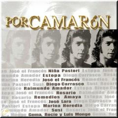 POR CAMARON