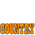 Alternative Country