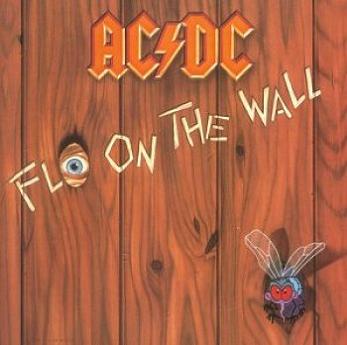 FLY ON THE WALL (VINYL)