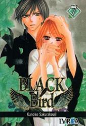 Black Bird