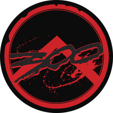 PLACA DE FUSTA LOGO 300