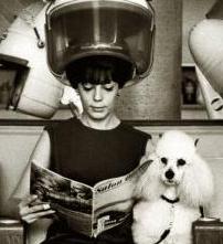 Revistes