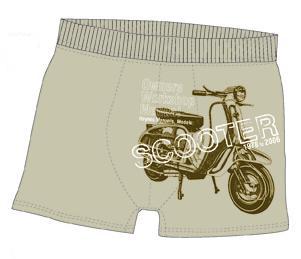 HAYNES - BOXER SCOOTER VERD