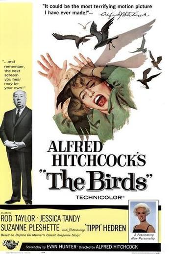 POSTER LOS PAJAROS (ENGLISH VER.)